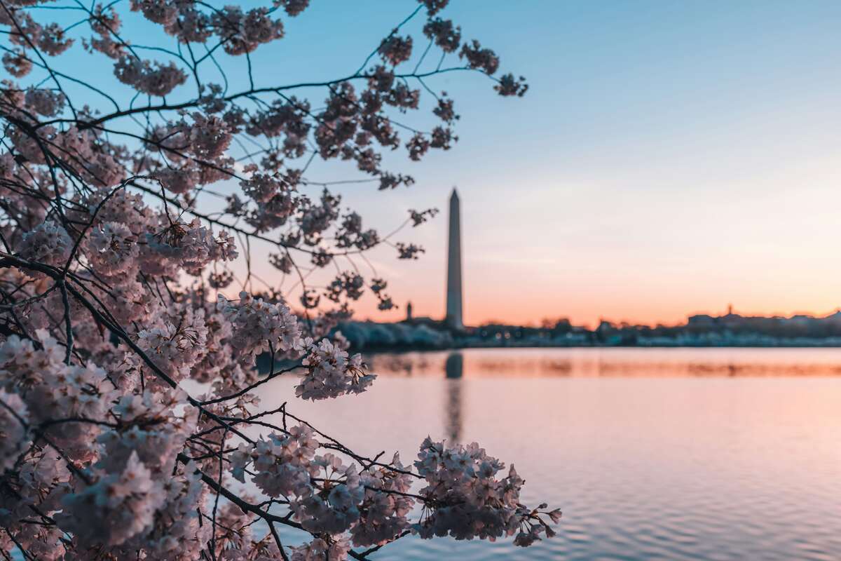Pornography Addiction Treatment Counseling Washington DC